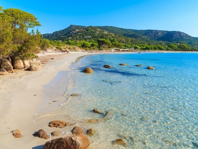 Envolez-vous pour la Corse ! Envolez-vous pour la Corse !